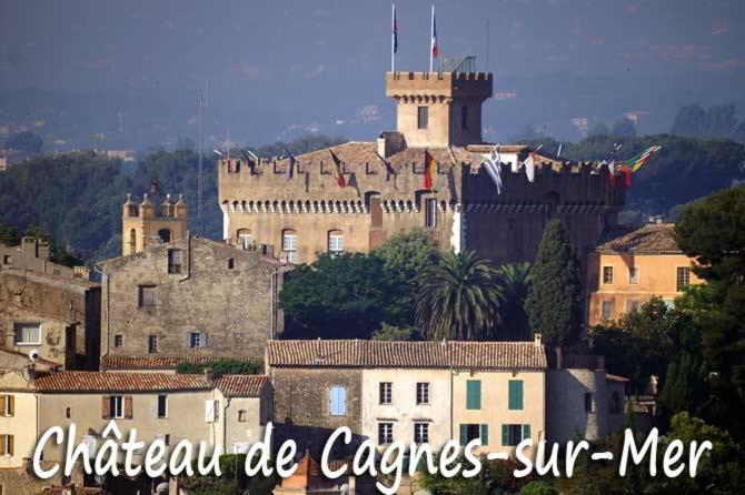 Grand Studio Tres Agreable Avec Bar, Cuisine Et Terrasse Cagnes-sur-Mer Bagian luar foto