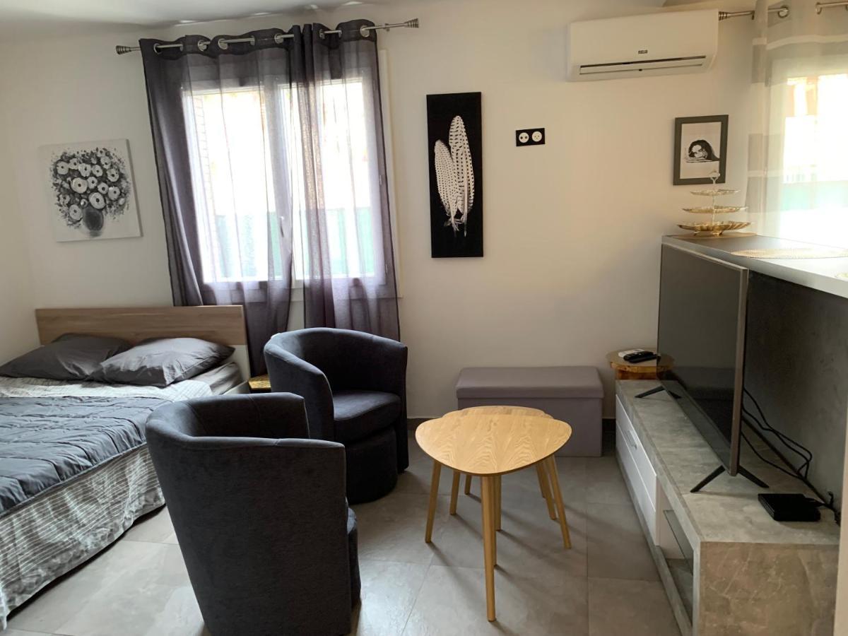 Grand Studio Tres Agreable Avec Bar, Cuisine Et Terrasse Cagnes-sur-Mer Bagian luar foto